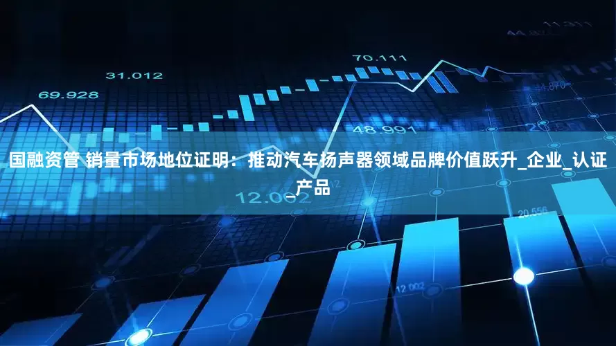国融资管 销量市场地位证明：推动汽车扬声器领域品牌价值跃升_企业_认证_产品