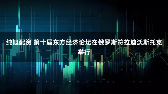 纯旭配资 第十届东方经济论坛在俄罗斯符拉迪沃斯托克举行